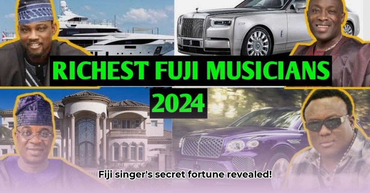 fiji-singer-net-worth